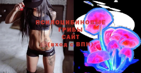 ПСИЛОЦИБИНОВЫЕ ГРИБЫ Нязепетровск